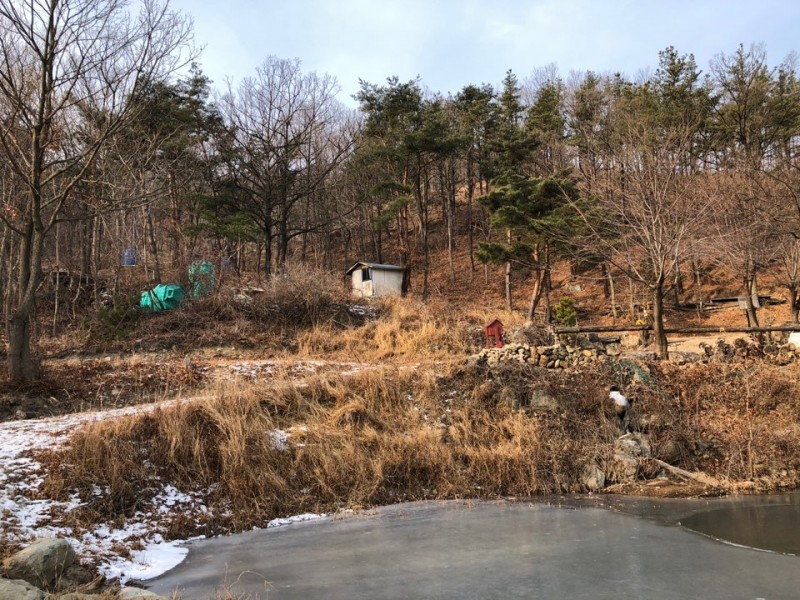 d88c80ce2c819e586b0591813a9a172e_1611030