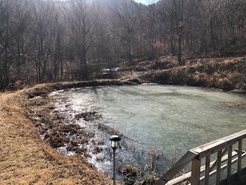 d88c80ce2c819e586b0591813a9a172e_1611030