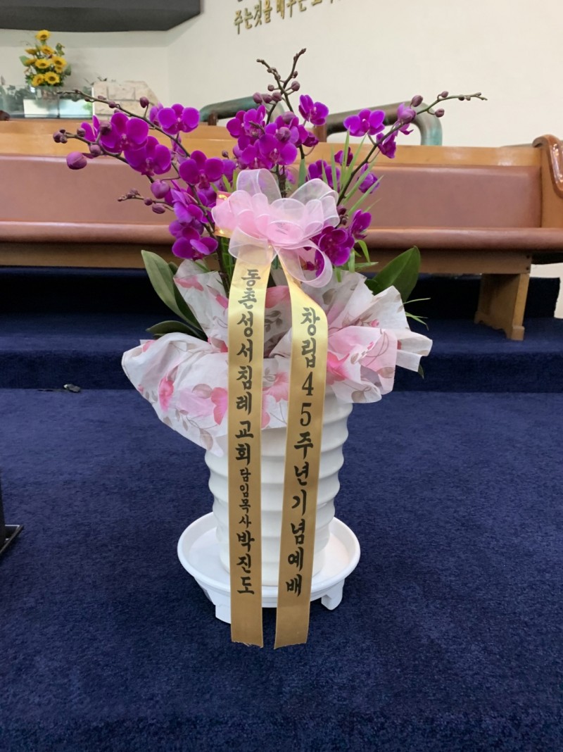 ae21326cfe17ac80244e46faa879b62d_1623487