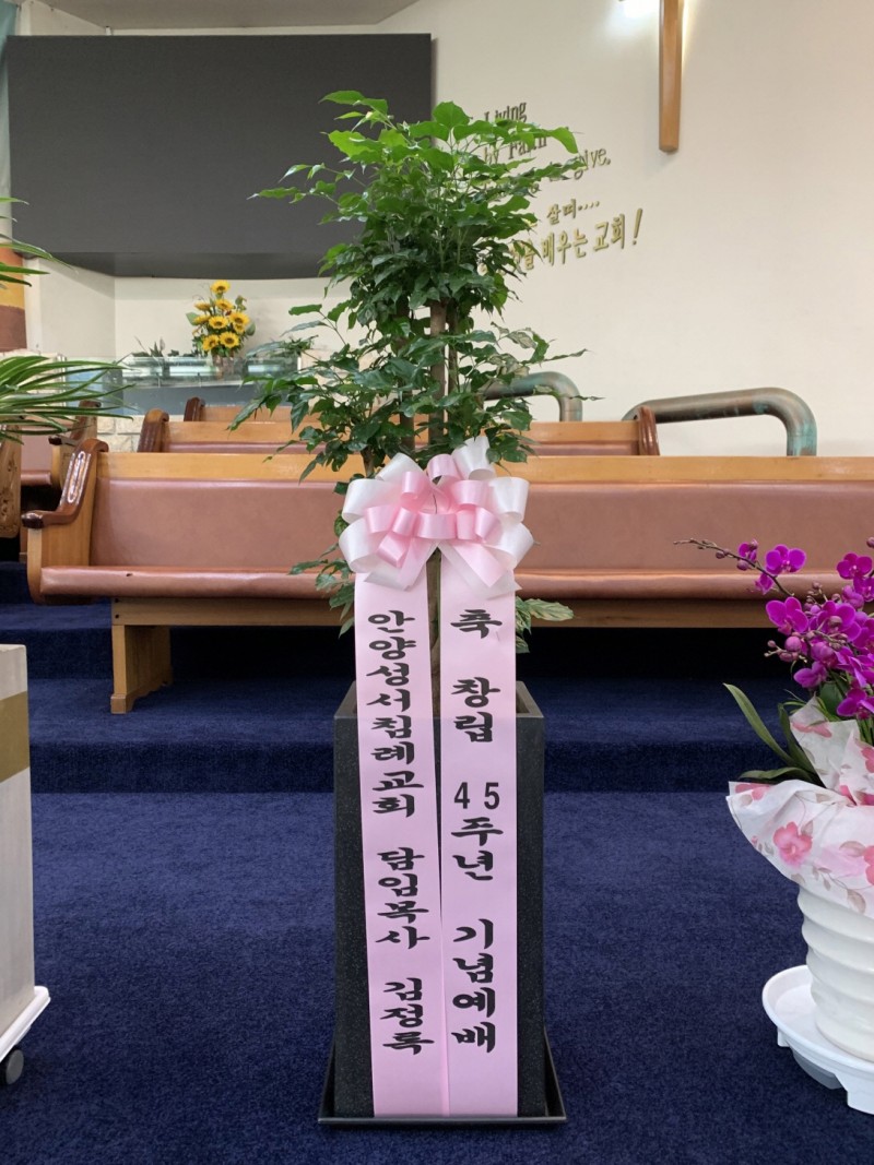 ae21326cfe17ac80244e46faa879b62d_1623487