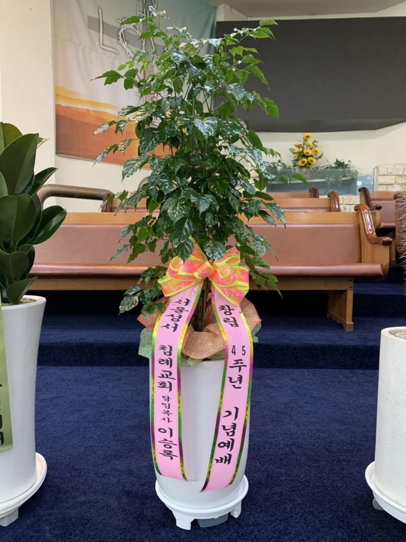 ae21326cfe17ac80244e46faa879b62d_1623487