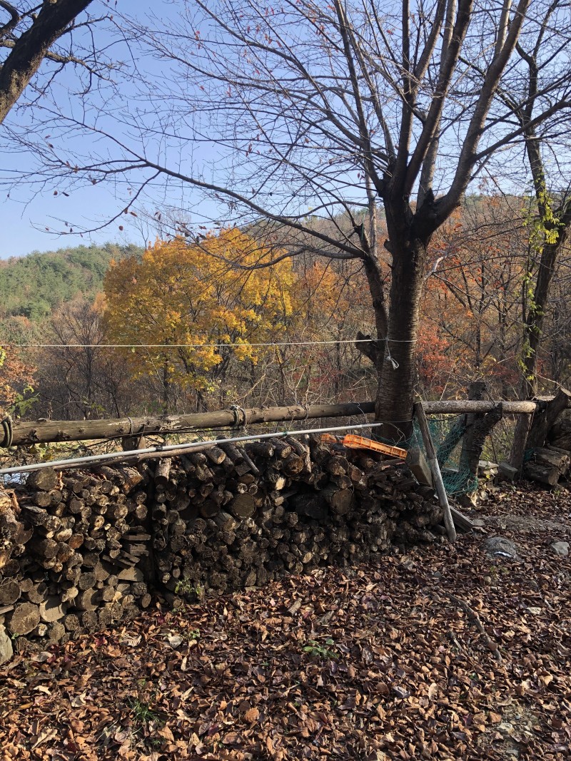 b4e1dd9ed1946355e231b7b60091ec93_1637410