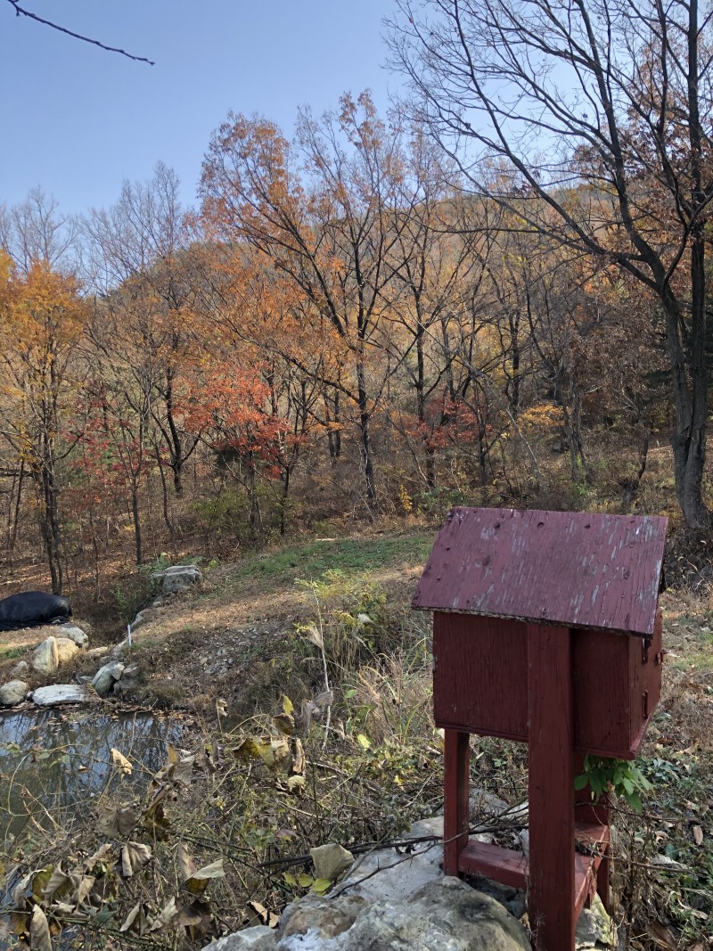 b4e1dd9ed1946355e231b7b60091ec93_1637410