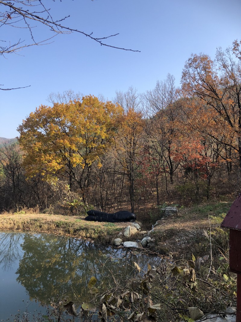 b4e1dd9ed1946355e231b7b60091ec93_1637410