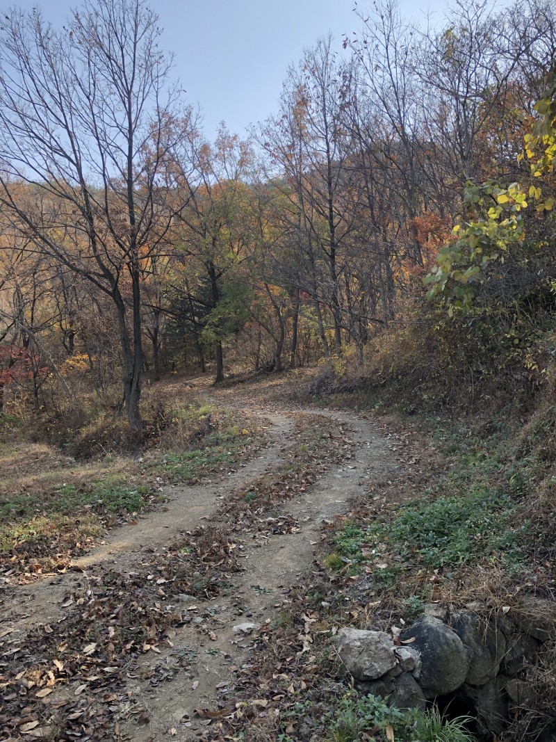 b4e1dd9ed1946355e231b7b60091ec93_1637410