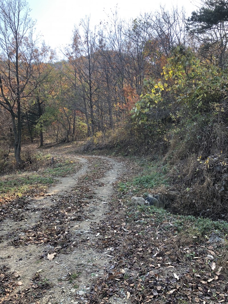 b4e1dd9ed1946355e231b7b60091ec93_1637410