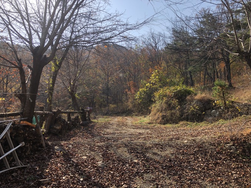 b4e1dd9ed1946355e231b7b60091ec93_1637410