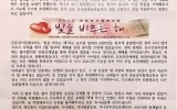 안동 - 2020년 7월 (안동성서침…
