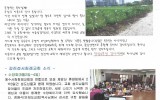 전남 - 2015년 08월 7일 (강…